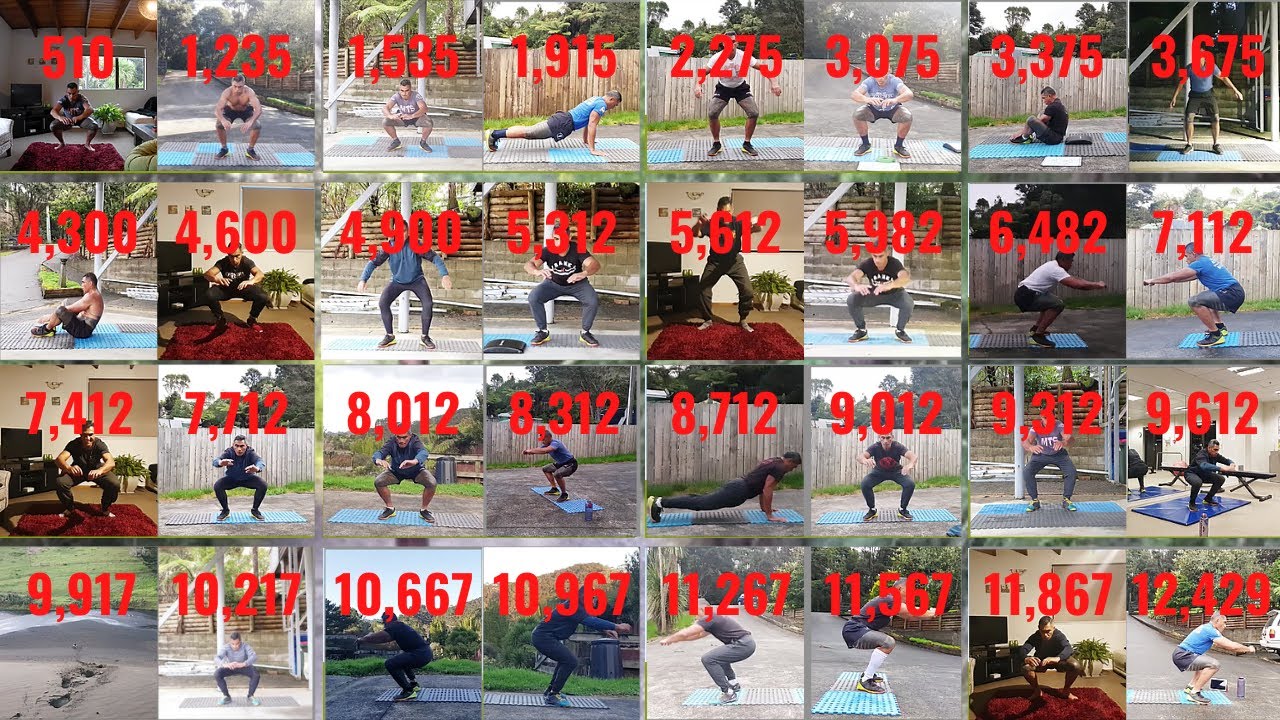 365 Day Full Body Home Workout