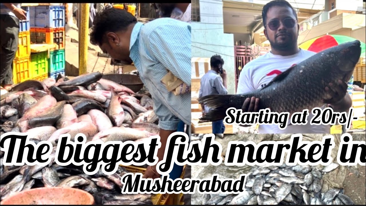 The biggest fish 🐠🐠market in Hyderabad and musheerabad starting just 20 RS KIRRAK MARKET MNAVLOGS