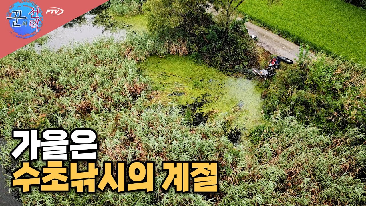 [다시 보기] FTV 꾼의 선택 - 가을은 수초낚시의 계절