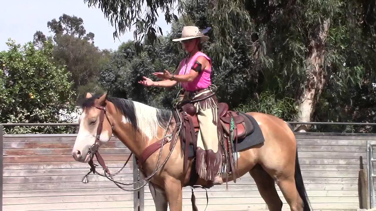 Val Gilbert Horsemanship posting trot 06/11/2013