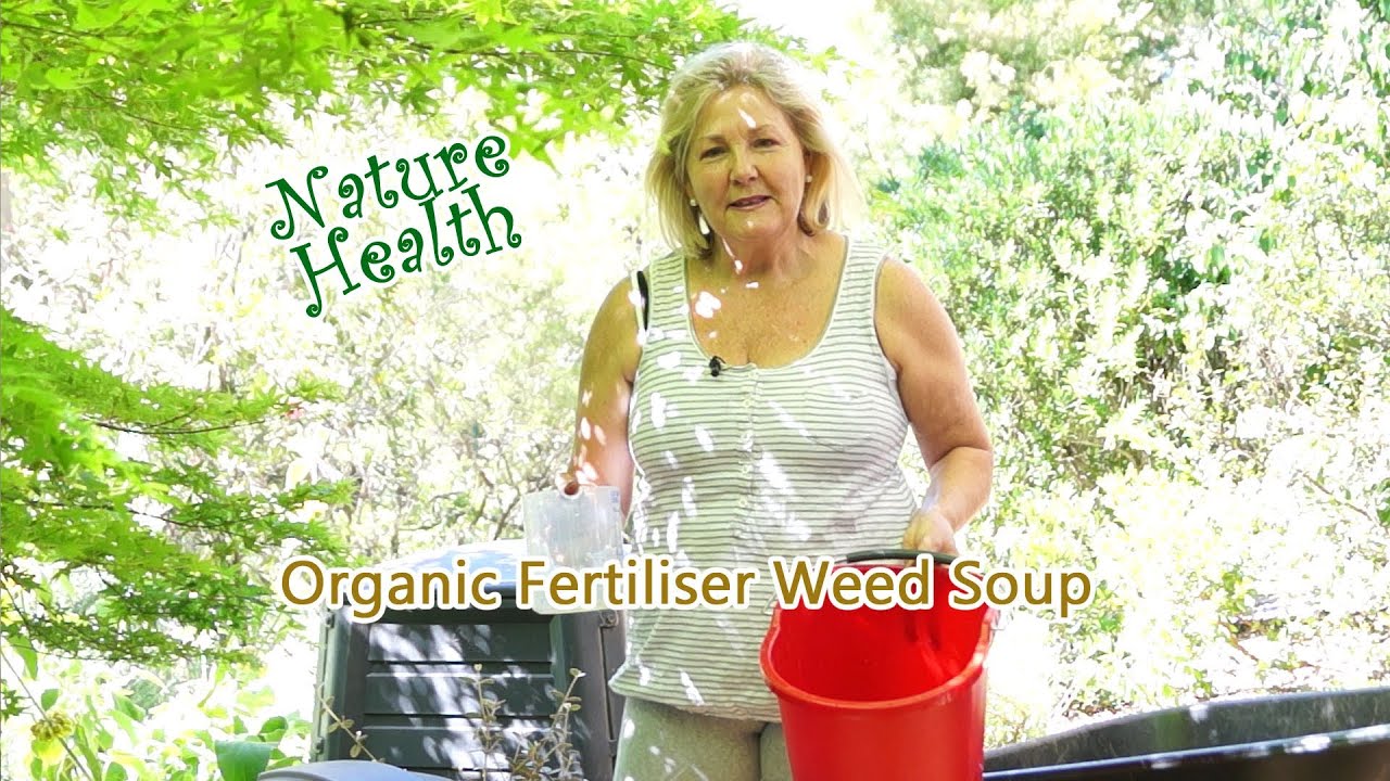 How to make organic fertiliser from weeds (weed soup) and use it in the garden.