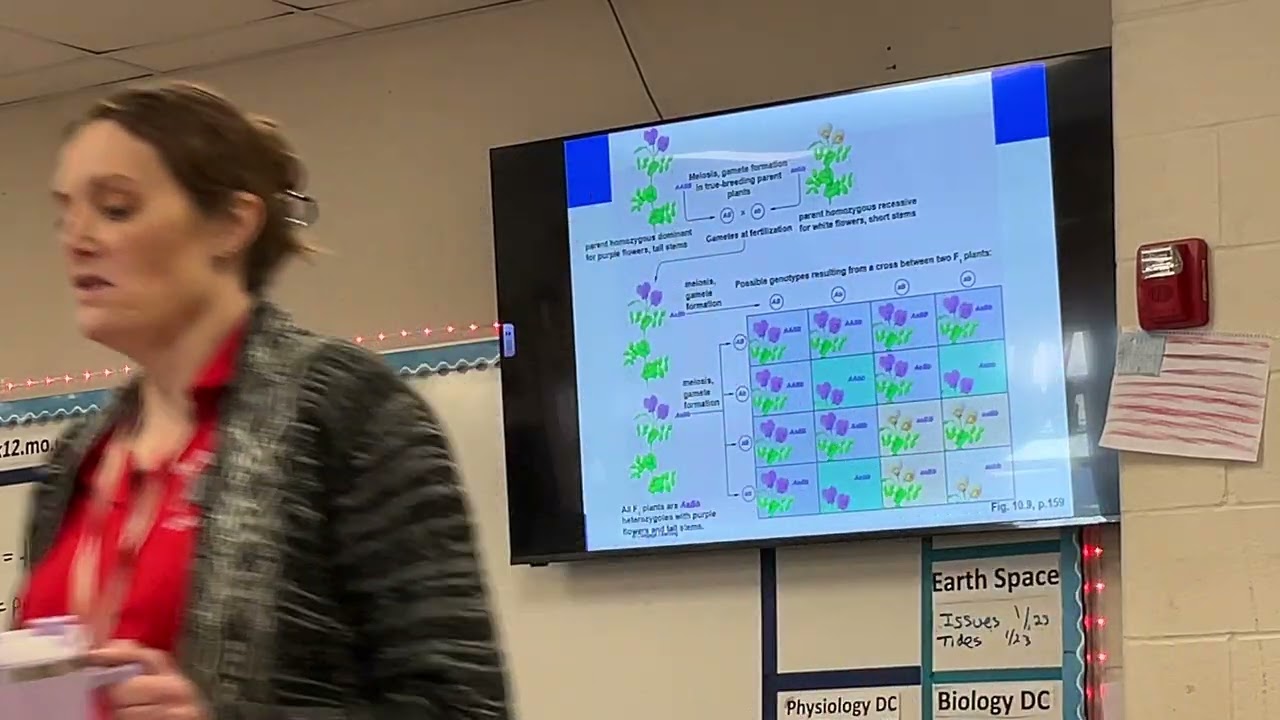 college Biology - Dihybrid Cross