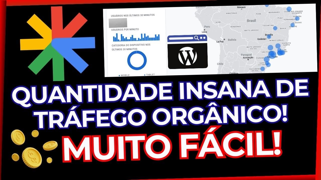 TR&Aacute;FEGO ORG&Acirc;NICO! Como Coloquei Meu Site no DISCOVER DO GOOGLE R&aacute;pido (Fast Web Stories Plugin)