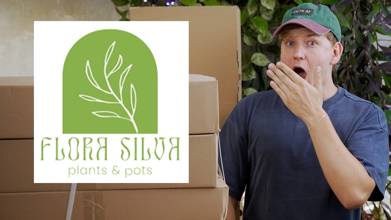 DAS hätte ich NIE erwartet! 🤯 So lief mein erstes Pflanzen Unboxing von Flora Silva | Plant Haul