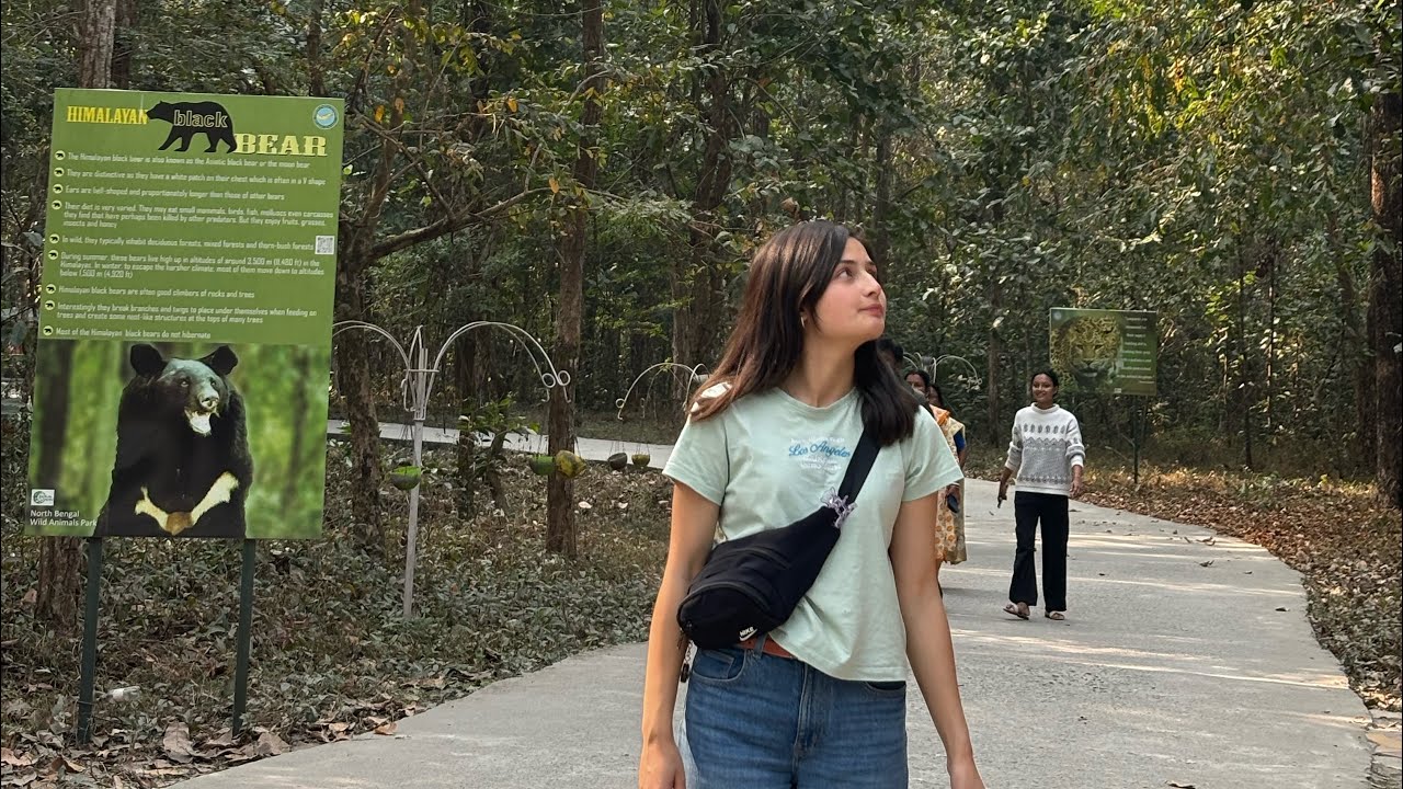 Bengal safari |monkey tried to scare us | travel blog 