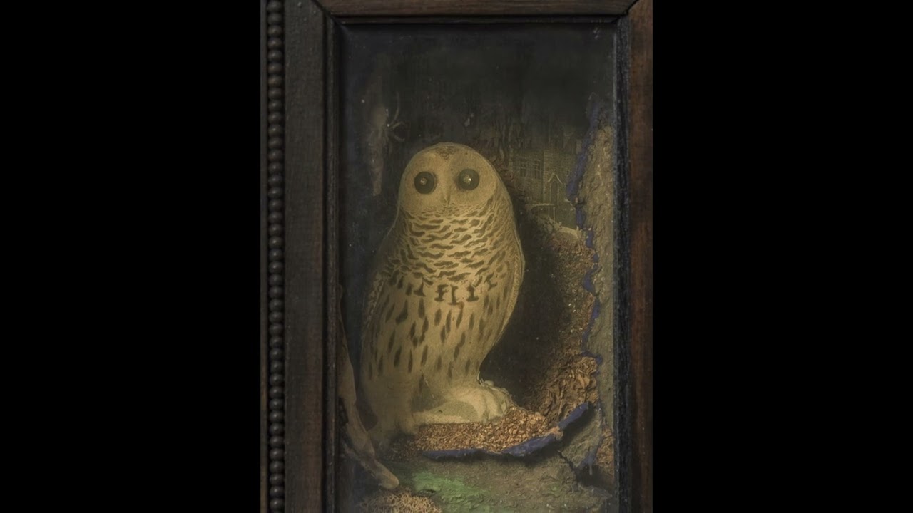 Joseph Cornell. Aphorism on the artwork of the genius Joseph Cornell