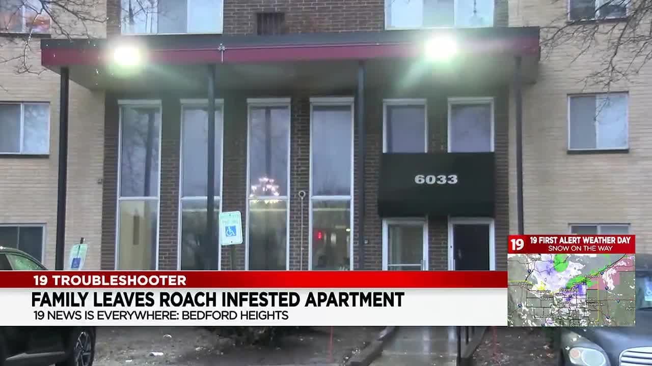 Troubleshooter: Roach infested apartment in Bedford