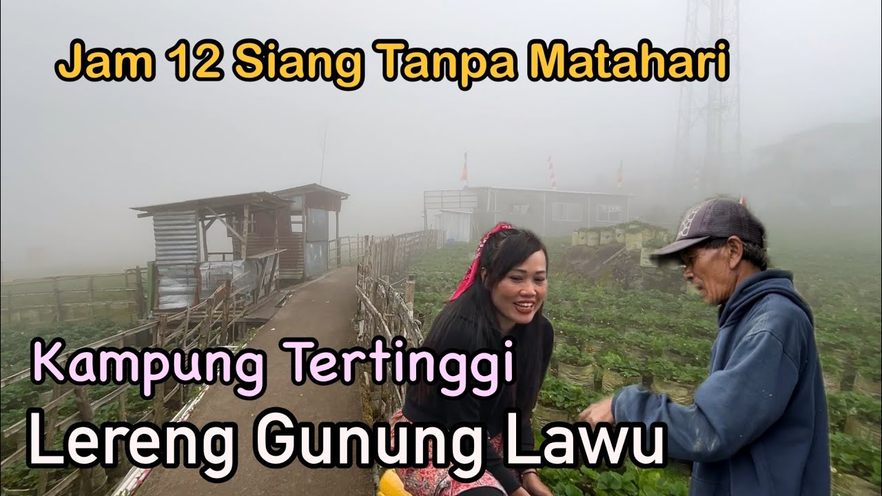 Kehidupan Penduduk Asli Perkampungan Desa Tertinggi Magetan  Lereng Gunung Lawu Dusun Cemoro Sewu