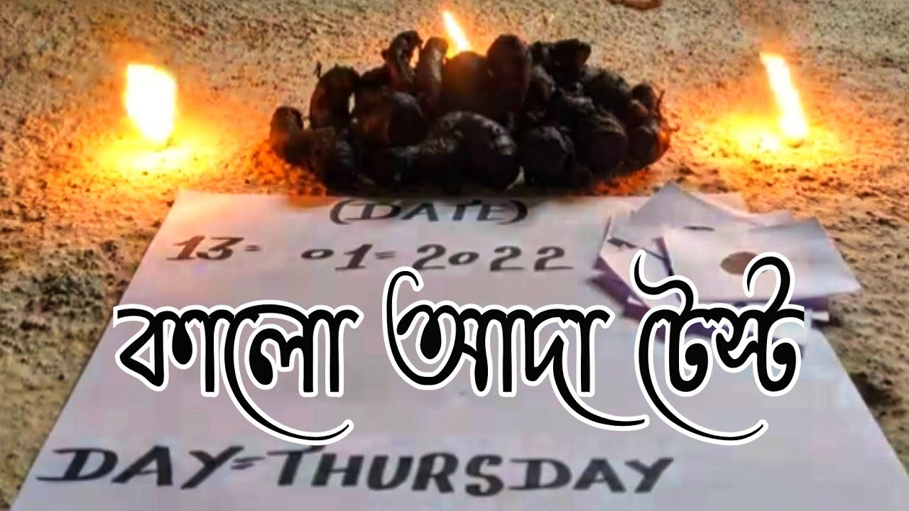 কালো আদা কিভাবে আপনারা বাড়িতে বসে টেস্ট করবেন 2022/tuhin garden