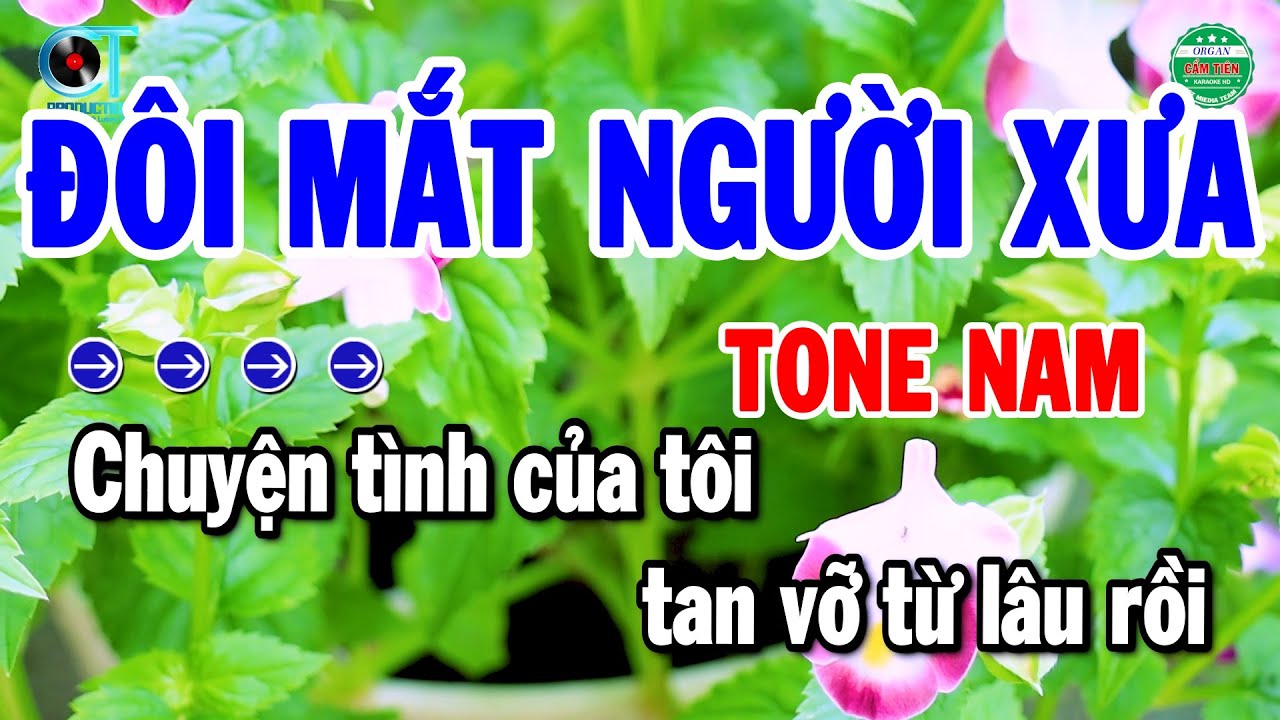 Karaoke Đôi Mắt Người Xưa Tone Nam Nhạc Sống Chuẩn Nhất 2026 | Cẩm Tiên Organ