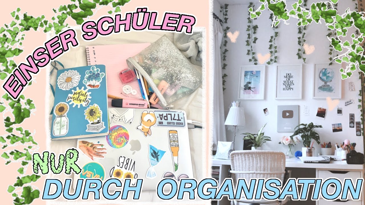 ORGANISATION FÜR DIE SCHULE 📘📂🦋 schöne Notizen, Ordner etc...