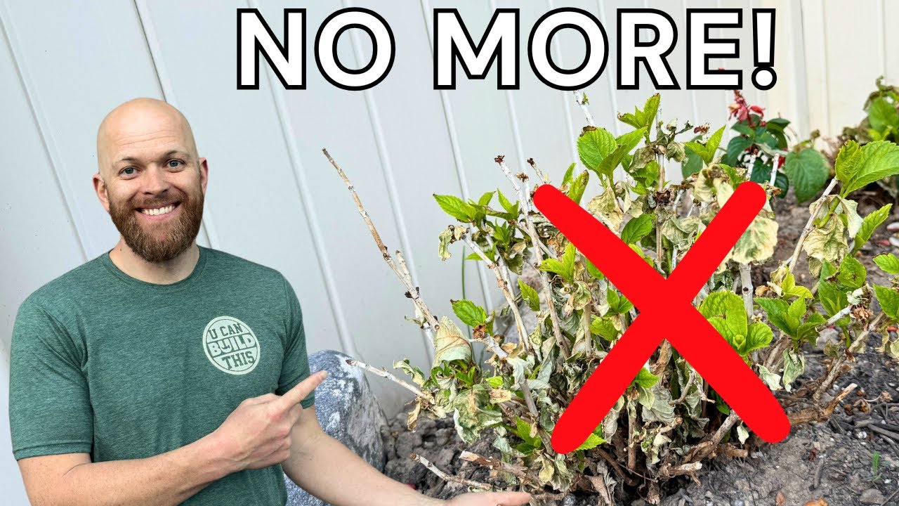 How to Install a Garden Drip System | 6 Steps
