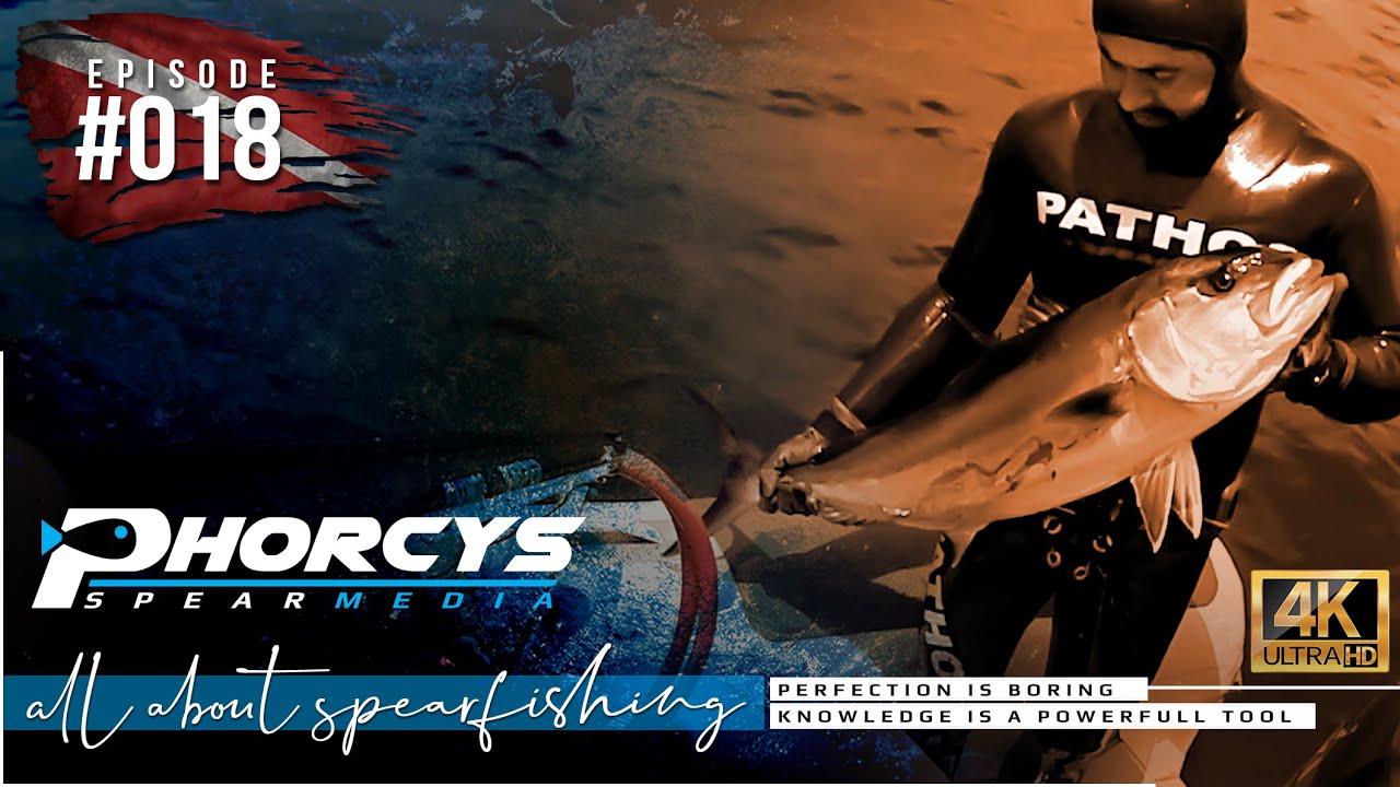 🐟 Phorcys Spearmedia 