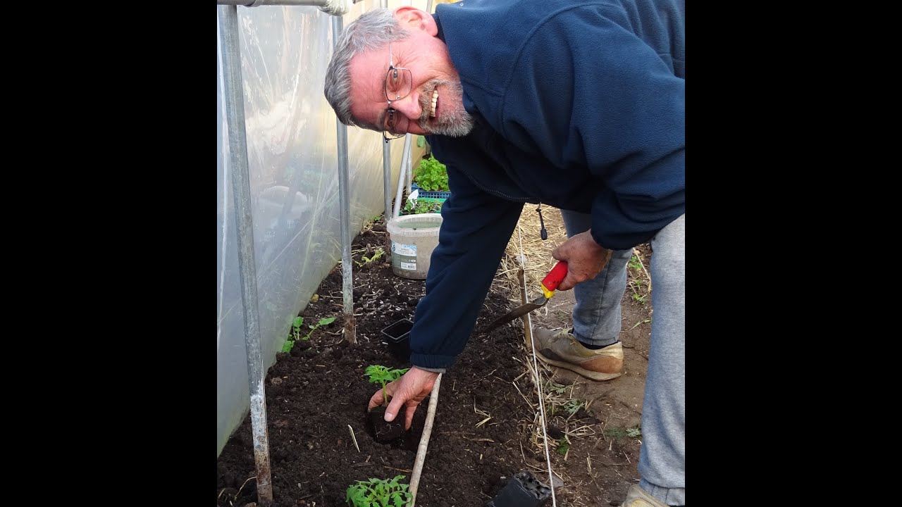 le 07/04/2024: Comment je plante mes tomates ?