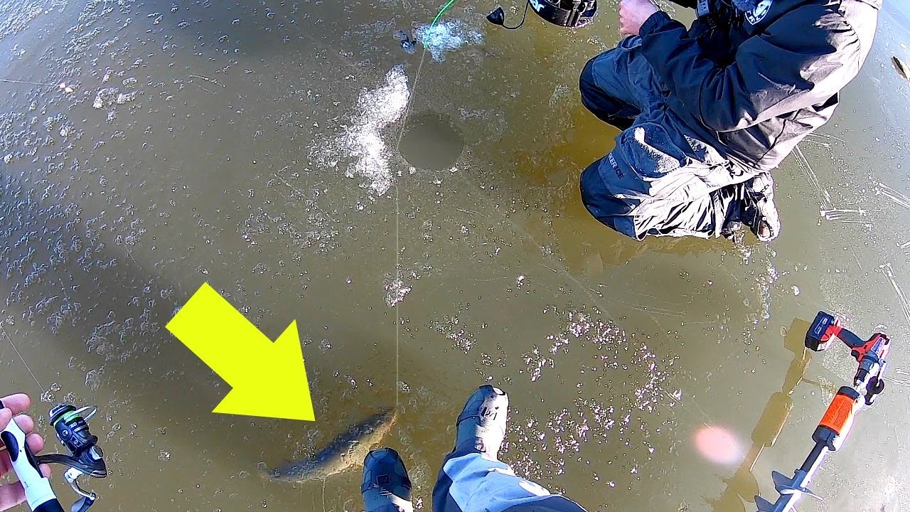 Surprise RARE Catch Fishing a City Pond!!!