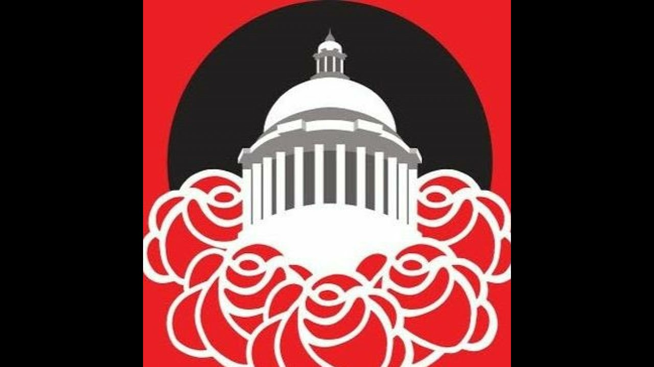 Why we're socialists (and not liberals): Part 3, Ultraleftism
