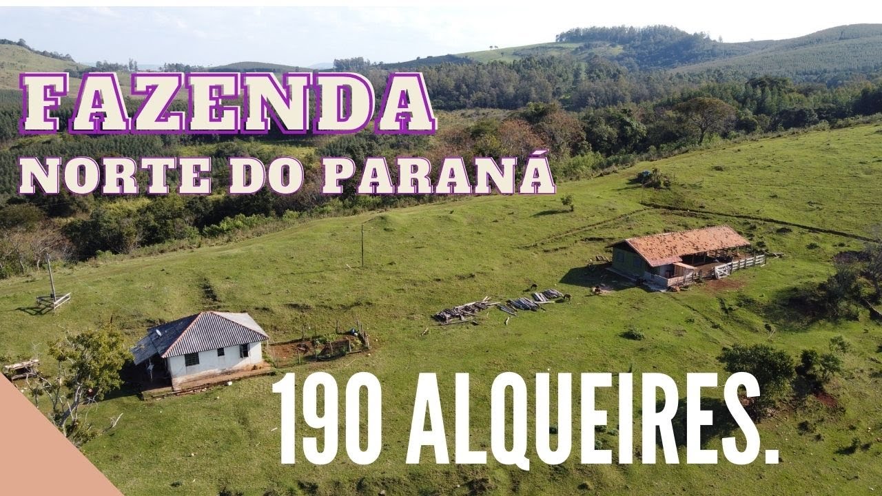 A024 - FAZENDA 190 ALQUEIRES EM SÃO JERONIMO DA SERRA - PR - FONE: 43 99907-2391 - ADEMIR ALVES.