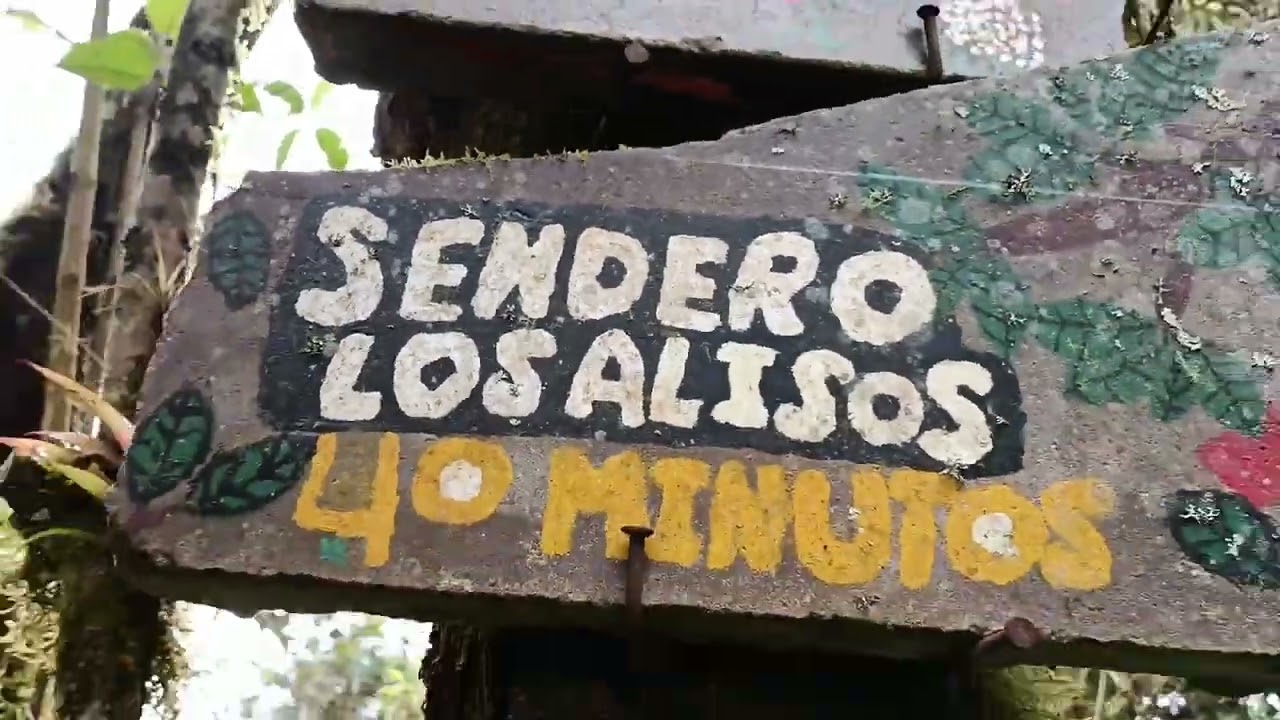 ¿Por qué visitar Yunguilla?