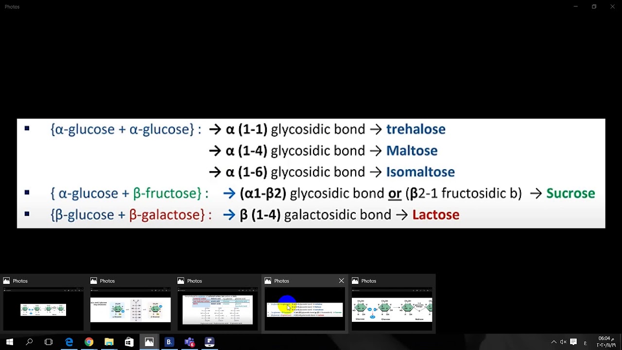 Disaccharides & Polysaccharides by Chemist Hamdy