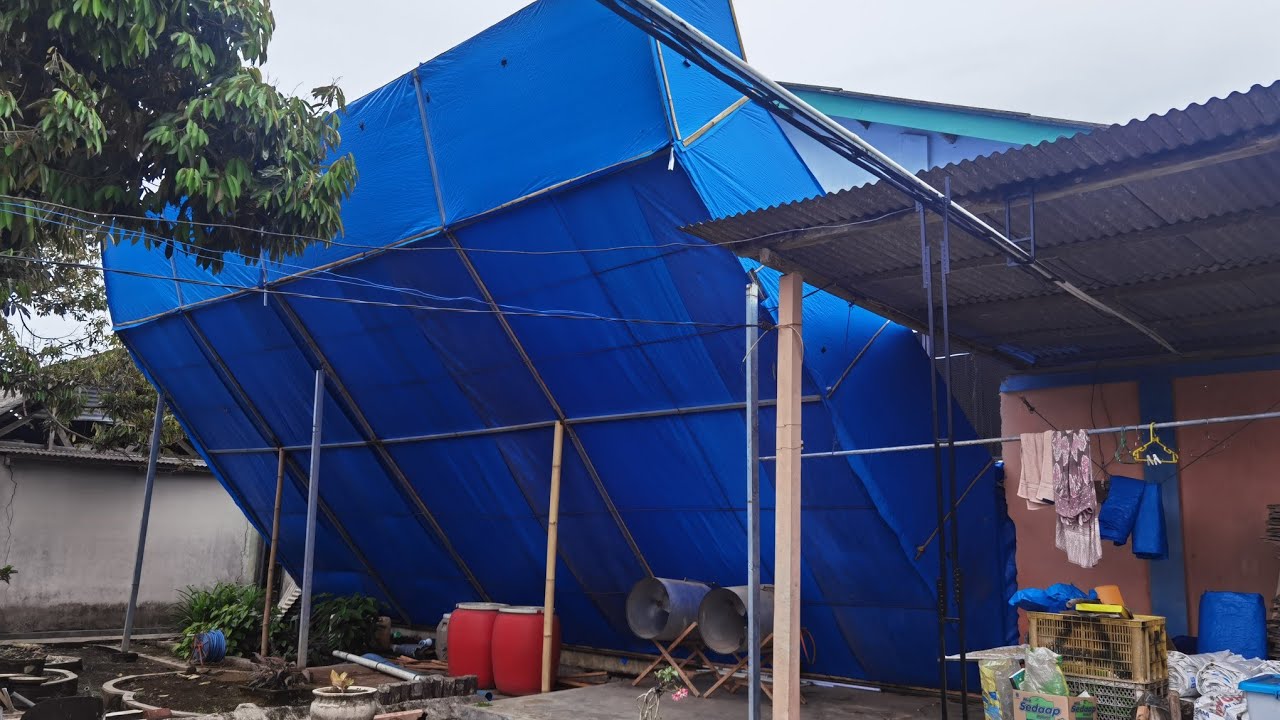Kandang ditengah Kampung No lalat No bau