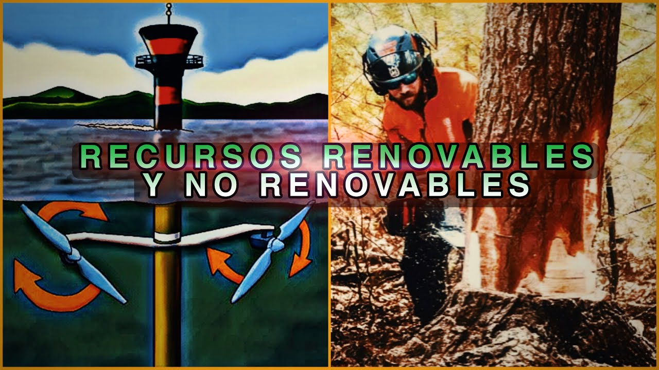 Recursos renovables y no renovables