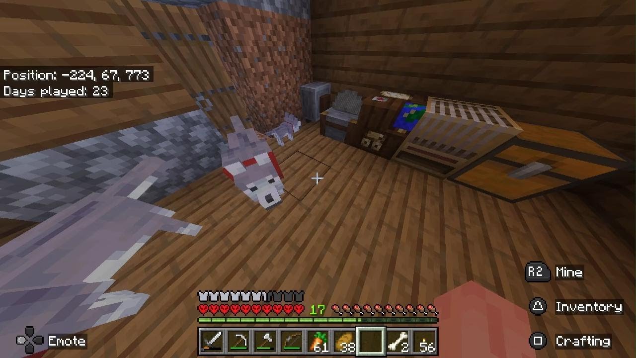 Minecraft hardcore
