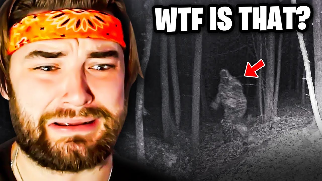 ТРОГАТЕЛЬНЫЕ ВСТРЕЧИ С ОТДЫХАЮЩИМИ В ЛЕСУ!! | MrNightmare