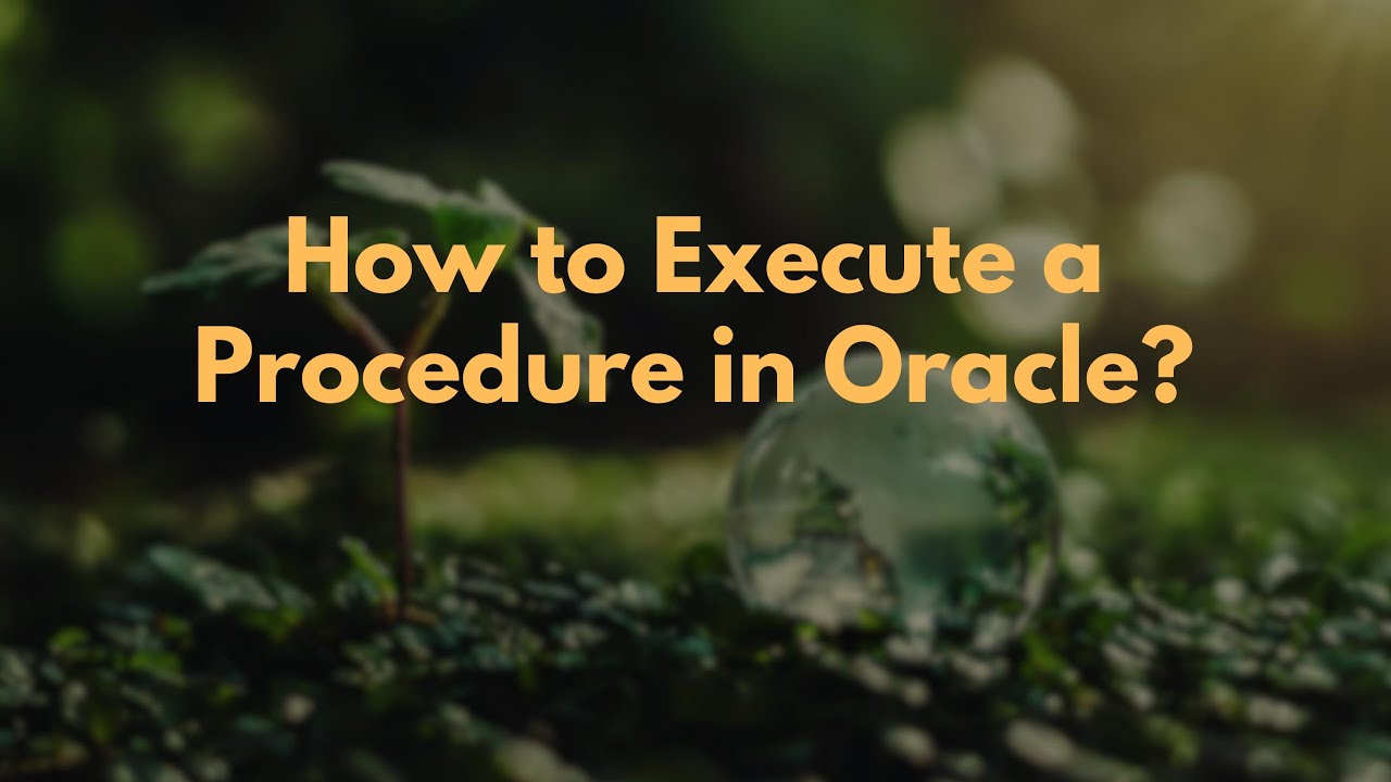 How to Execute a Procedure in Oracle?