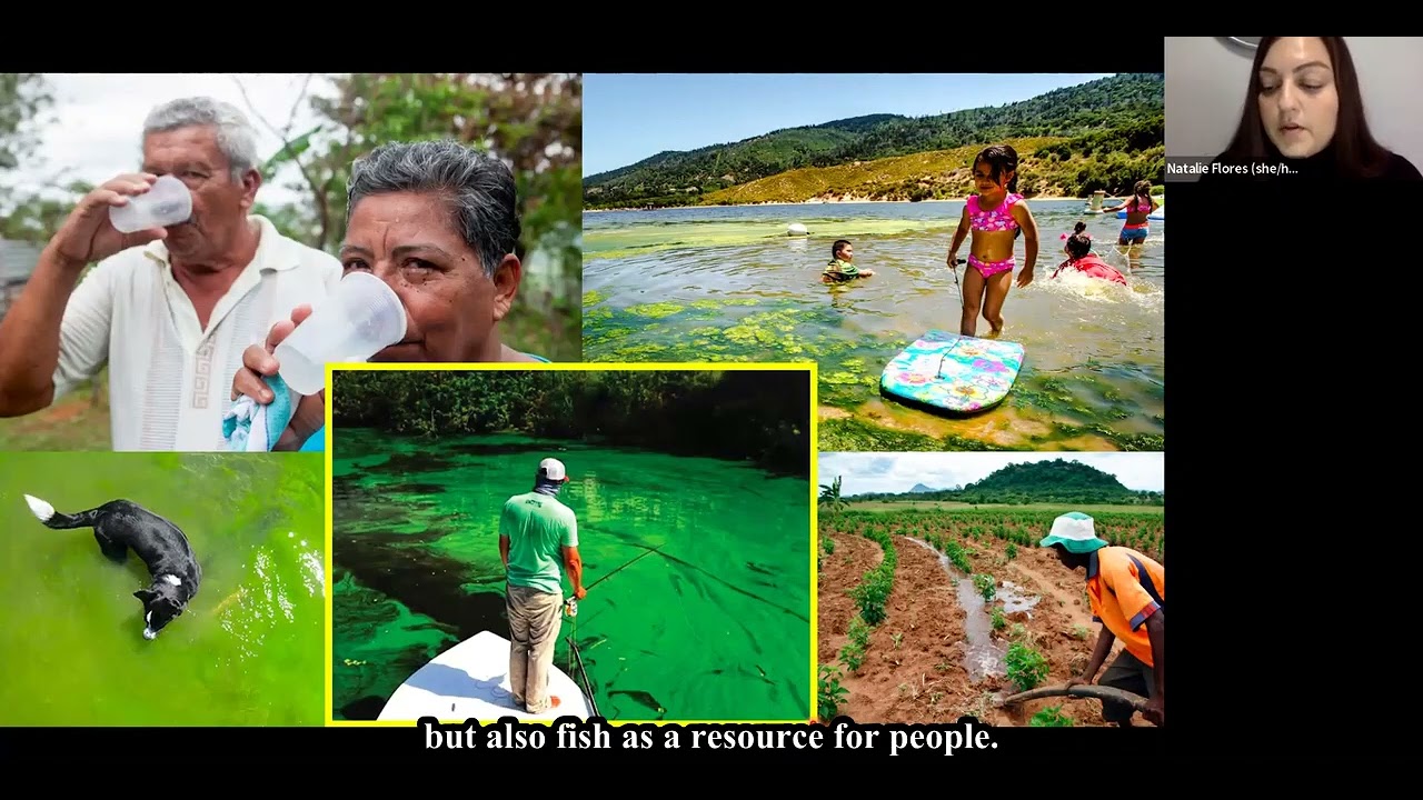 Research Webinar: Cyanobacteria Blooms Impacts on Fish Ecological and Human Health Considerations