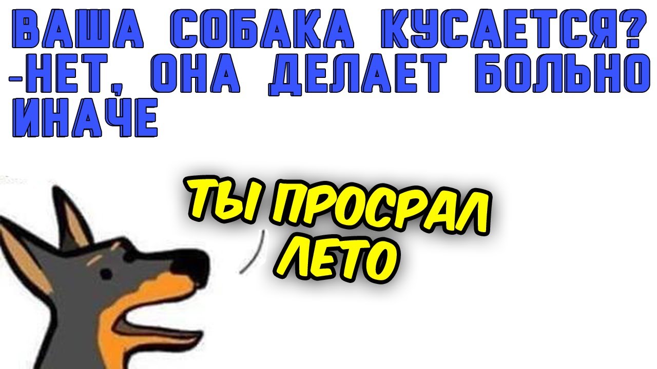 МЕМЫ ЕСТЬ МЕМЫ #27