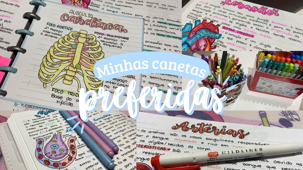 Minhas canetas preferidas (Baratas & Caras)