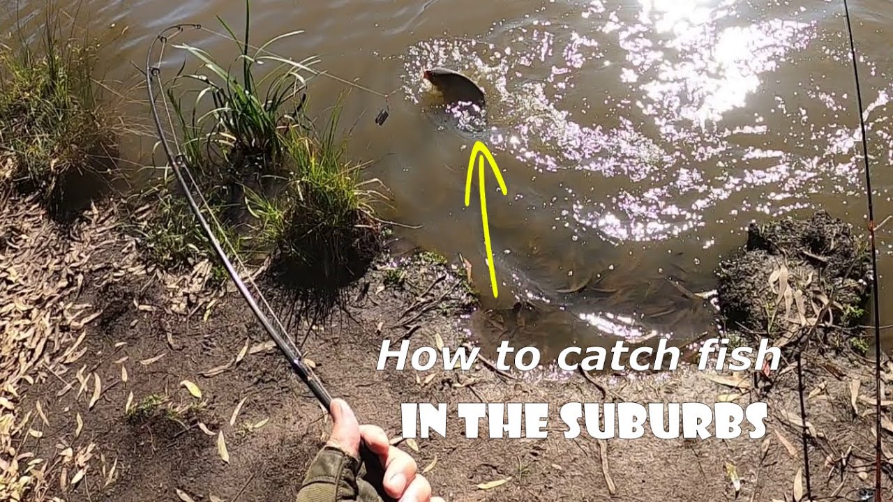 Uncover Hidden Suburban Fishing Gems : Simple Tips to Reel 'Em In!