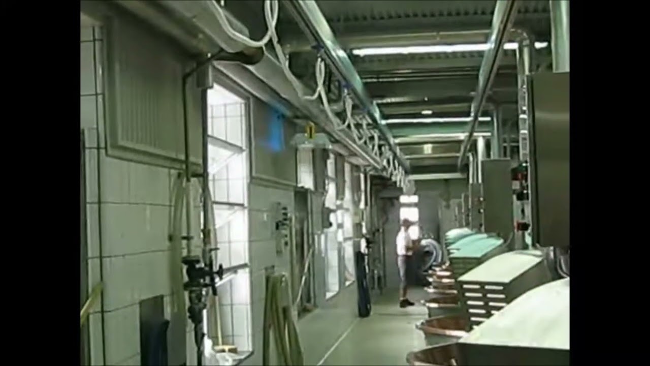 Lean Manufacturing - 4Lean - Rope balancer with stainless steel hook for handling curd bundles