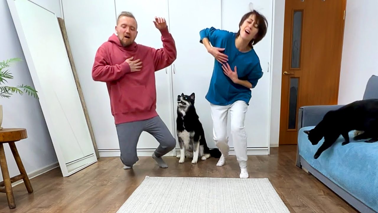 Who Will My Dogs Save First? Reaction Of Husky And Cats To Fake Fainting