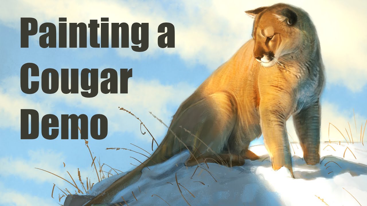 Live Stream - Drawing a Mountain Lion