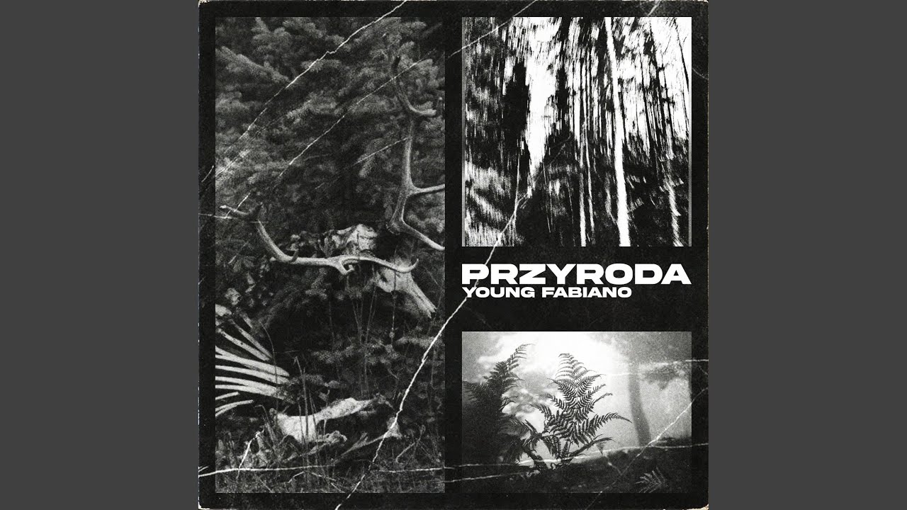 Przyroda