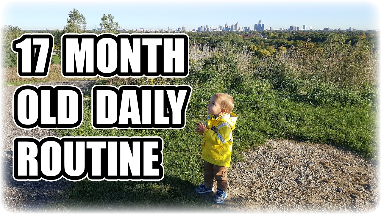 17 Month Old Daily Routine