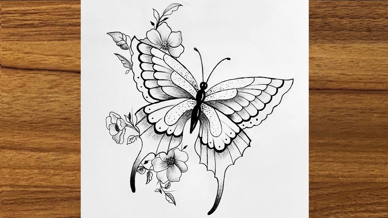 How to draw butterfly flower for beginners|butterfly drawing