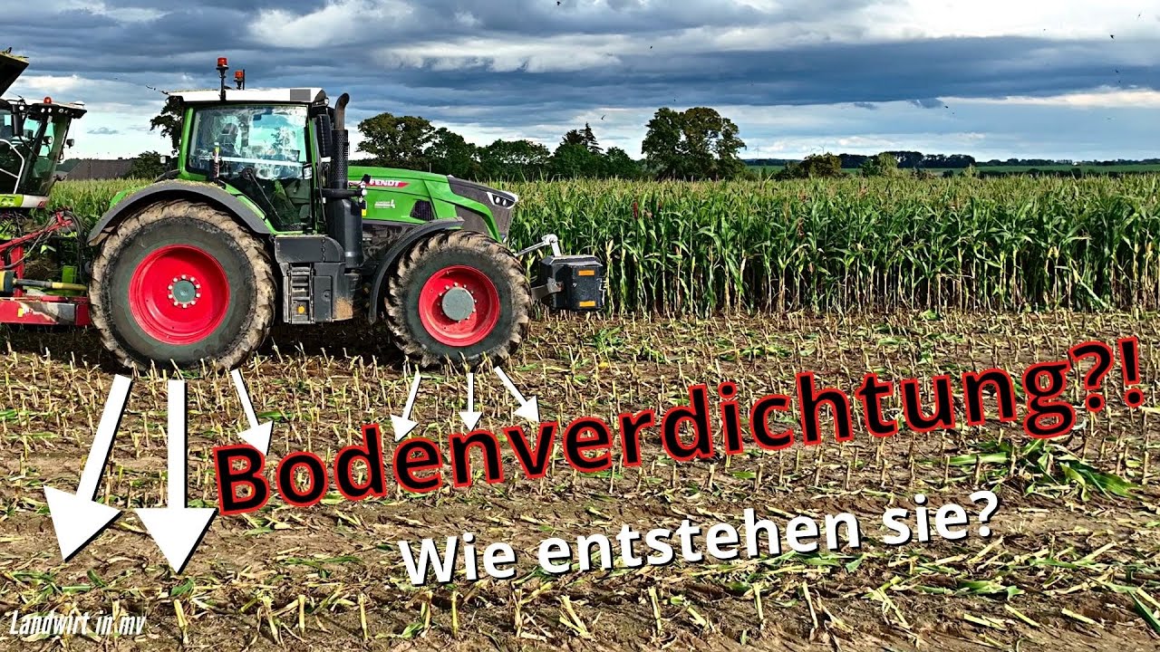 Bodenverdichtung?! Wie entstehen sie? Welche gibt es?