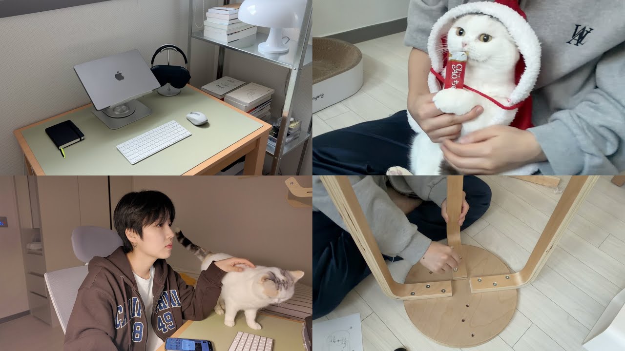 새 식구와 따뜻한 연말 일상🎅🏻 하루종일 언박싱하고 집 꾸미기, 데스크테리어, 집사 vlog, 이케아 휠리스