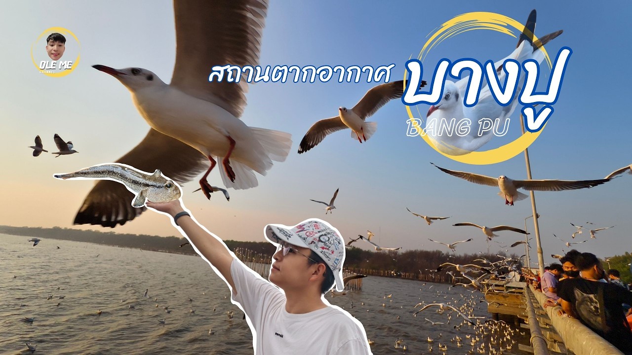 ไปดูนกกัน 