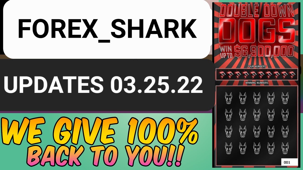 FOREX SHARK UPDATE ON ANIMAL FARM PIGGYBANK V2 LOTTERY SYSTEM IS REVEALED $6.9 MILLION DRIP NETWORK