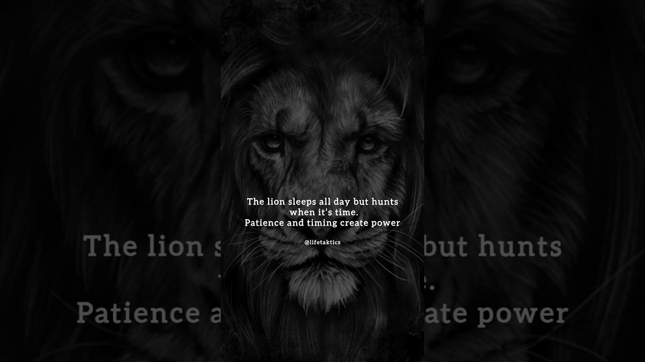 Motivational Quotes| Life Taktics | Quotes 