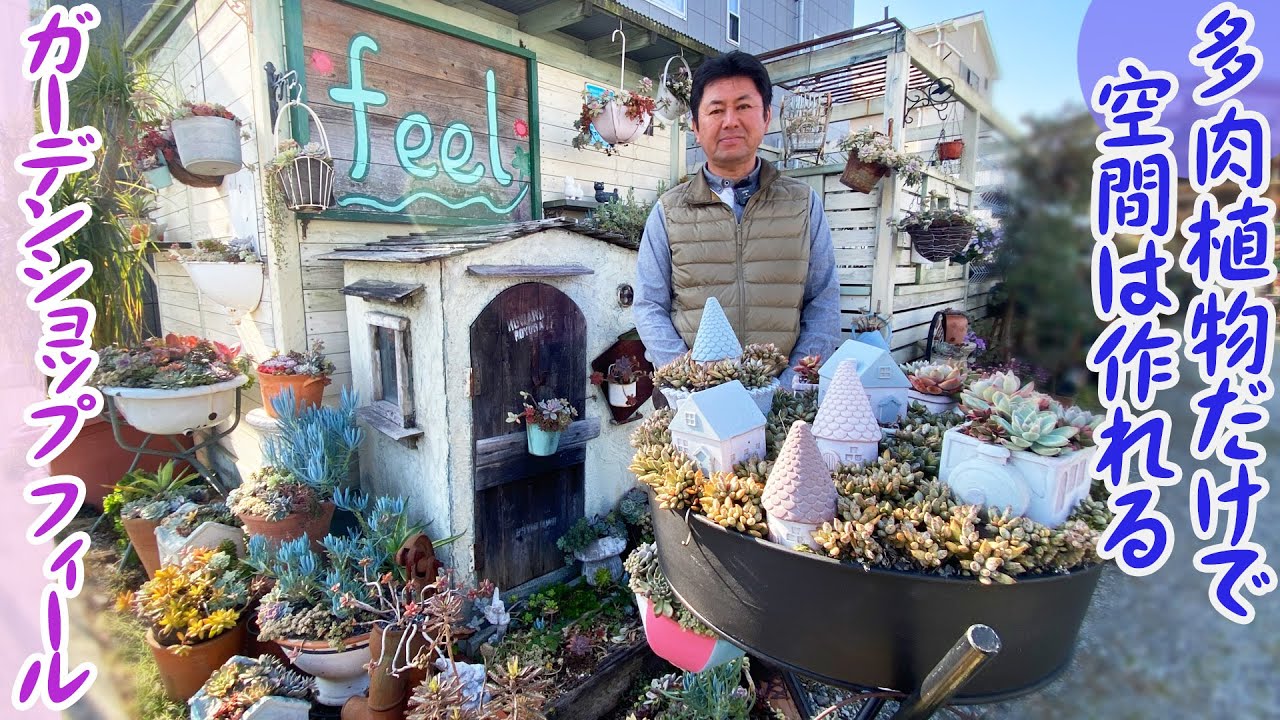 【ガーデンショップfeel】ここだけ別世界！多肉尽くしのディスプレイでお店で一番人気の映えスポットに【大阪府八尾市】