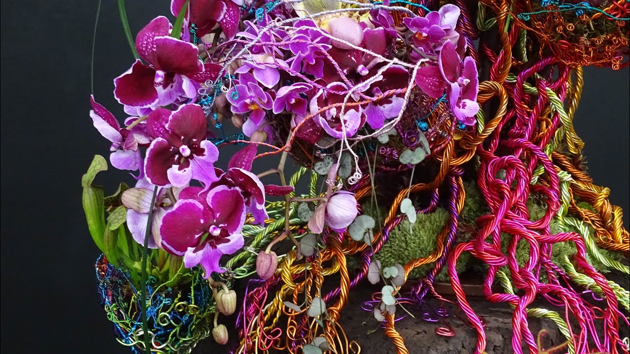 RHS Chelsea’24 ORCHIDS #flowers #orchid #rhs #rhschelsea #orchidflower @The_RHS