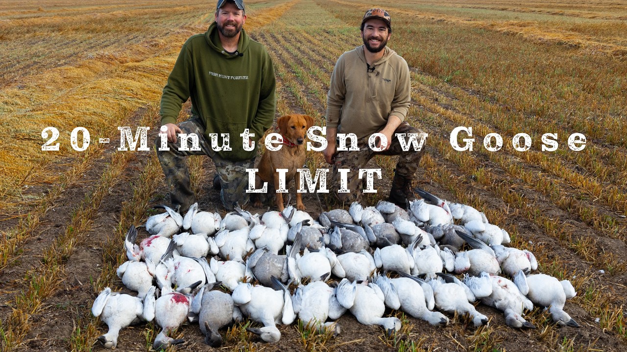 Wildest Morning of Waterfowl Hunting | Saskatchewan Snows Pt 2