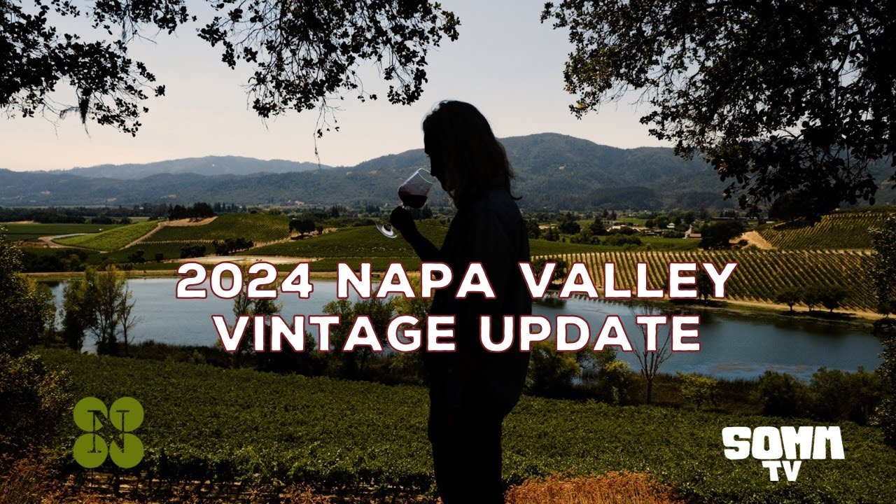 Napa Valley Vintage Update 2024