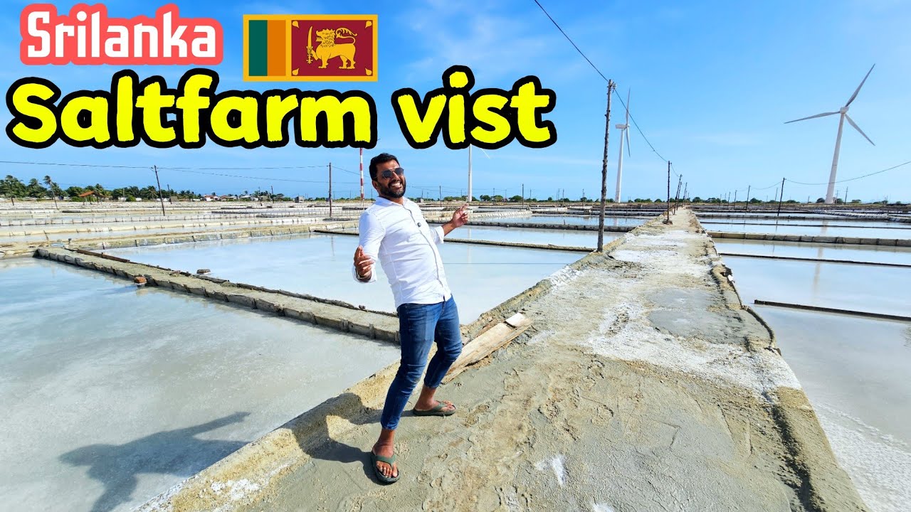 Amazing saltfarm in srilanka || salt making process || puttalam saltfarm vist #saltfarm #salt