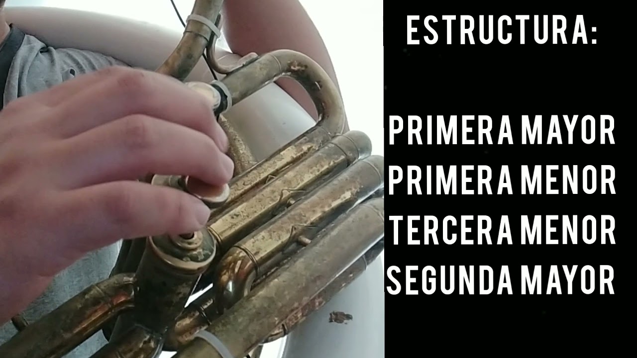 ❗CÓMO SACAR CANCIONES A "OÍDO" - TIP SENCILLO❗- Tutoriales de tuba