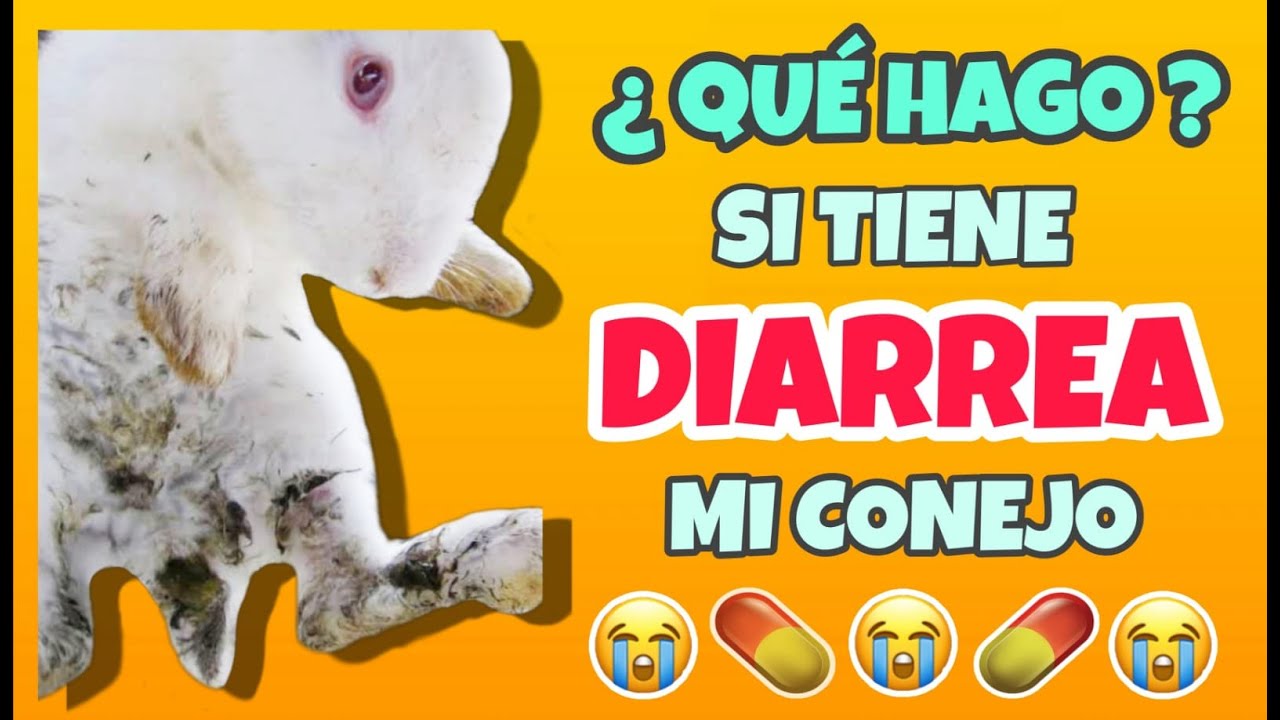 Diarreas de etiología BACTERIANA (Sintomatología, Tratamiento y más) 💩🤢🤮